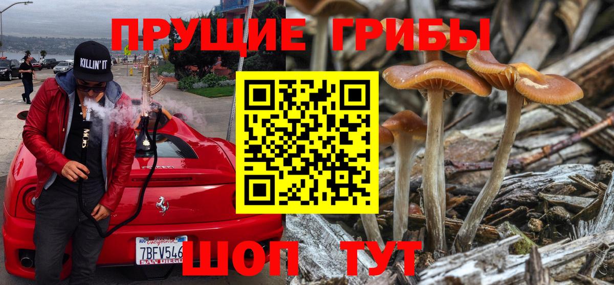 Галлюциногенные грибы GOLDEN TEACHER Светлоград