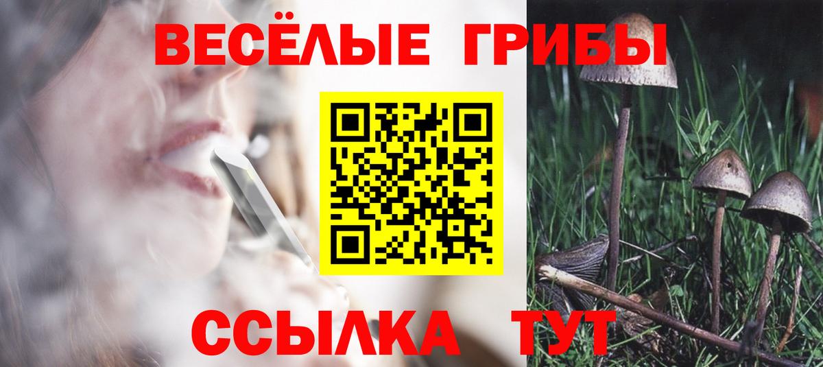 Псилоцибиновые грибы Magic Shrooms  Вход с VPN  Светлоград 